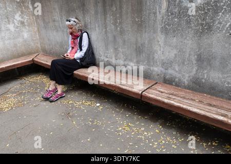 Einsame Frau, die auf einer Holzbank sitzt, mit dem Handy, Wellington, Neuseeland. Stockfoto