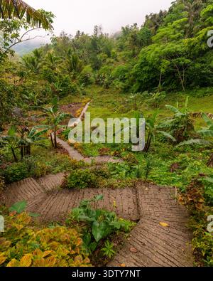 Ein Betonpfad schlängelt sich bergab durch dichte tropische Vegetation auf einer grünen Hügellandschaft. Stockfoto
