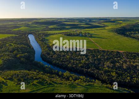 Ein erhöhter Blick aus der Luft zeigt einen sich windenden Fluss, der von dichten Bäumen umgeben ist und durch sanftes, grünes Ackerland im ländlichen Western Australia fließt. Stockfoto