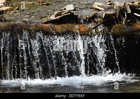 Wasser fließt sanft über Felsen und erzeugt kleine Spritzer und Blasen in einem ruhigen Fluss. Das Sonnenlicht reflektiert das Wasser und sorgt für eine angenehme Atmosphäre im Freien Stockfoto