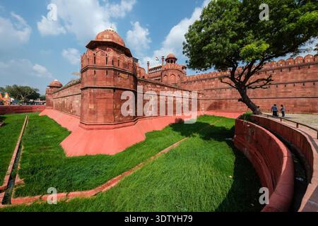 Rote Sandsteinbefestigungen des Roten Forts in Alt-Delhi. Ein grasbewachsener Graben und ein großer Baum befinden sich vor den Wänden. Stockfoto