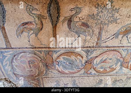 Der Boden der Apostelkirche in Madaba zeigt detaillierte Mosaiken mit Bildern von Vögeln und Pflanzen. Diese Kunstwerke stammen aus der Antike. Stockfoto
