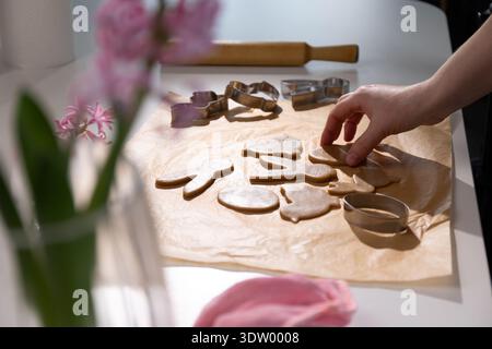 Die Hand eines Menschen legt rohe Osterhasen und andere geformte Lebkuchenkekse auf Backpapier auf eine weiße Küchentheke. Stockfoto