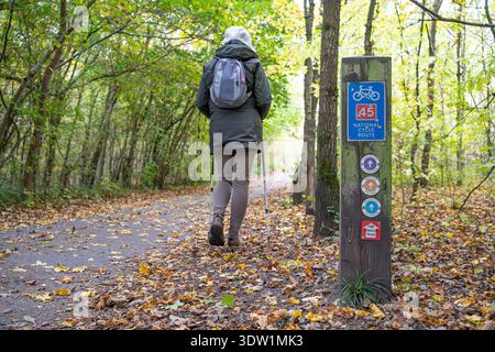 Rückansicht einer isolierten Frau, die im Herbstwald, Großbritannien, auf einem Weg mit Schildern zur National Cycle Route 45 spaziert. Stockfoto