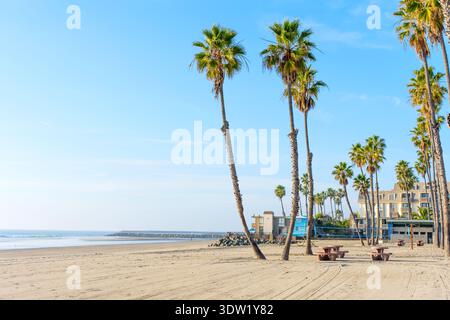 Oceanside, Kalifornien - 17. Dezember 2025: Ruhige Szene am Oceanside Beach mit hoch aufragenden Palmen, bequemen Picknicktischen und einem Rettungsschwimmer Stockfoto