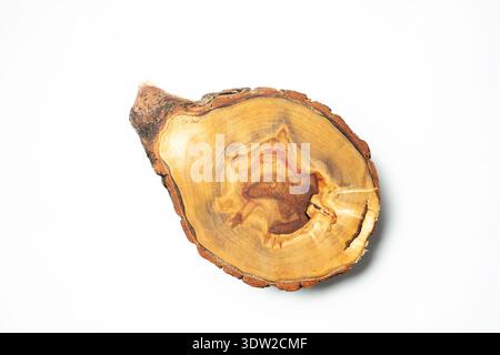 Draufsicht des Baumstumpfs isoliert auf weißem Hintergrund. Podium für die Aufmachung und den Verkauf von Naturprodukten. Kopierbereich Stockfoto