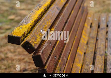Genaue Untersuchung Der Verwitterten Bank Mit Flechtenwachstum Und Komplexen Oberflächendetails Stockfoto