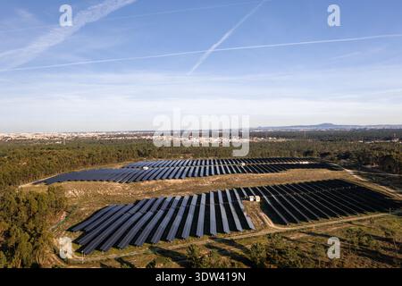 Drohnenansicht von Solarpaneelen in üppigen Feldern unter hellem Himmel, die nachhaltige Energie mit malerischer Stadtansicht im Hintergrund erzeugen Stockfoto