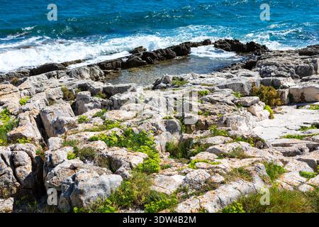 Die felsigen Klippen der Küste treffen auf das türkisfarbene Meer, wo Wellen sanft gegen verwitterte Steine und grüne Vegetation prallen. Die Szene fühlt sich wild an, fres Stockfoto