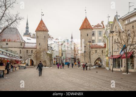 Das Viru-Tor mit seinen ikonischen, mit Efeu bedeckten Doppeltürmen aus dem 14. Jahrhundert dient als Haupteingang der Altstadt von Tallinn, der Hauptstadt Estlands Stockfoto