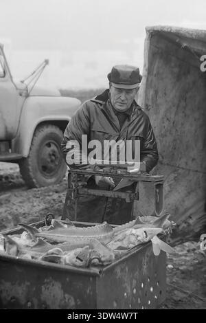 Das historische Schwarzweißbild aus den 1970er Jahren zeigt einen männlichen Vorarbeiter, der einen frischen Fang von Störfischen in einen perforierten Metallbehälter auf der Fischfarm „Donrybkombinat“ im Bezirk Slawjansk, Region Donezk, ukrainische SSR, UdSSR, wiegt. Er steht neben einem sowjetischen LKW auf matschigem Boden und zeichnet Daten in einem Notizbuch in der Nähe einer klassischen mechanischen Waage auf. Dieses authentische Archivfoto spiegelt den wissenschaftlichen Ansatz der Aquakultur, die industrielle Macht der Region und die ruhige Atmosphäre im friedlichen Donbass vor dem Krieg wider und hebt sowjetische Arbeit hervor. Stockfoto