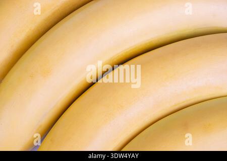 Großaufnahme reifer Bananen mit glatter Haut und warmen Tönen. Detailgetreues Bild mit Reifen Bananen mit sanfter Schattierung und lebhafter Gelbfärbung Stockfoto