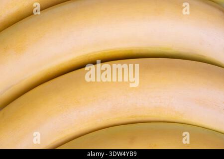 Lebendige Obstpräsentation. Frische Bananen auf einem belebten Stand. Farbenfroher Marktstand mit Reifen Bananen. Lebhafte Lebensmittelszene mit hellen Reifen Bananen A Stockfoto