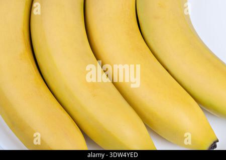 Frische Bananenanzeige. Tropische Früchte aus nächster Nähe. Bio-Bananen mit dezenten grünen Spitzen. Saisonale reife Bananen mit sanften Kurven und lebhaften Schwüngen Stockfoto