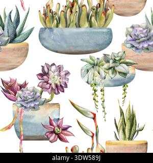 Nahtlose Aquarellfliesen aus Sukkulenten, das Laub von Weinreben in glasierten Töpfen und Cachepot, hängende Wüstengärten. Isolierte Illustrationshand Stockfoto
