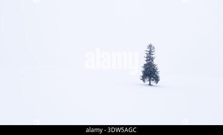 Einsame Fichte, bekannt als Weihnachtsbaum, steht im Winter auf einem schneebedeckten Feld in Bibaushi, Biei, Hokkaido, Japan Stockfoto