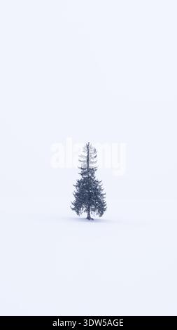 Einsamer Fichtenbaum in einem riesigen verschneiten Feld im Winter, vertikale Zusammensetzung, Bibaushi, Biei, Hokkaido, Japan Stockfoto
