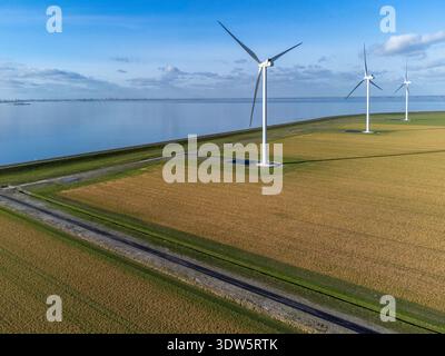 Die Windturbinen aus der Vogelperspektive stehen hoch vor dem Horizont, im Kontrast zu den goldenen Feldern und dem ruhigen blauen Wasser, Pampushout, Flevoland, Nethe Stockfoto