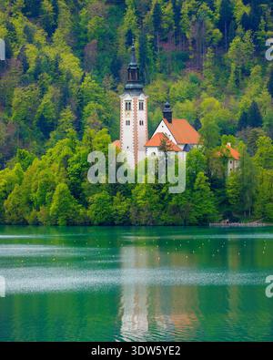 Blick auf die Kirche mit ihrem Glockenturm in der Mitte der Insel, umgeben von einem türkisfarbenen See und dichten Wald, Bled, Radovljica, Slo Stockfoto