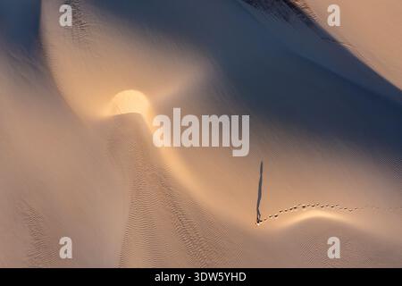 Luftaufnahme einer Einzelfigur, die einen langen Schatten auf die gewellten Sanddünen wirft, eine Studie in Licht und Schatten, da'ira, Socotra, Jemen. Stockfoto