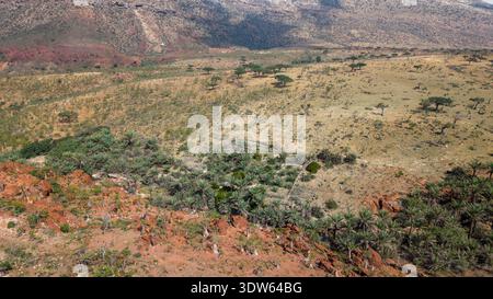 Aus der Vogelperspektive auf das trockene Savannental mit verstreuten Bäumen, felsigen Hügeln und fleckiger grüner Vegetation bei Tageslicht, mit schroffem Gelände und trockenem Land Stockfoto