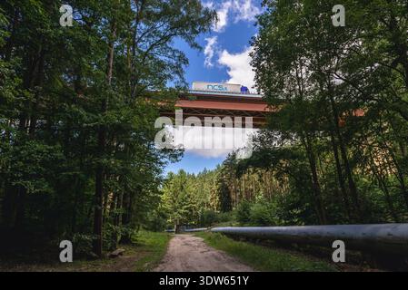 Viadukt von Trasa Kwiatkowskiego Autobahn verbindet den Hafen von Gdynia Stadt Dreistadt Beltway, Polen. Blick von der Dreistadt Landschaftspark Stockfoto