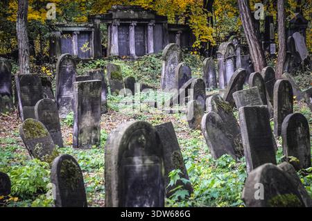 Warschau, Polen - 28. Oktober 2009: Gräber auf dem jüdischen Friedhof in der Okopowa-Straße im Bezirk Wola in Warschau Stockfoto