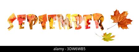 Herbst september Hintergrund mit Wort von gefallenen Blättern. Herbstbanner mit Kopierraum. 3D-Abbildung Stockfoto