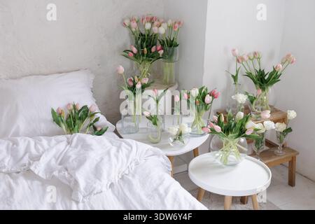 Mehrere pinkfarbene Tulpensträuße, die in Glasvasen um das weiße Bett im hellen Schlafzimmer angeordnet sind. Frische Frühlingsblumen schaffen weiche, minimalistische Atmosphäre Stockfoto