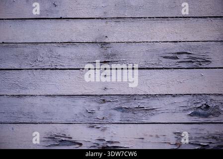 Nahaufnahme von horizontalen grauen Holzbrettern mit gerissener und abblätternder Farbe, die Alterserscheinungen und dezente blaue Untertöne zeigt. Stockfoto
