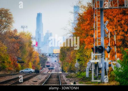 Der Metra-Zug nähert sich Chicago von den nördlichen Vororten, inmitten des Herbstblatts, mit dem Willis Tower, der sich in der Skyline der Innenstadt erhebt Stockfoto