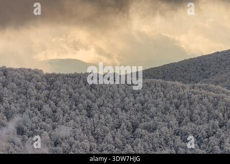 Ein atemberaubendes mehrschichtiges Wintergebirge-Panorama mit frostbedeckten Wäldern und weit entfernten Gipfeln unter einem dramatischen Himmel, der von goldenem Sonnenlicht beleuchtet wird Stockfoto