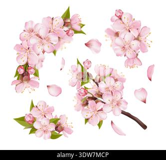 Set aus rosa Sakura Blossom Zweigen und Blütenblättern Stock Vektor