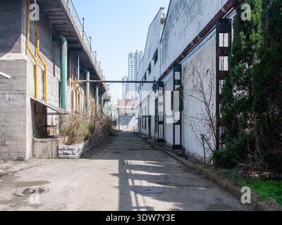 Blick auf eine enge Gasse zwischen zwei Industriegebäuden, mit gelben Rohren, die entlang der Mauern und Überkopfbrücken verlaufen. Stockfoto
