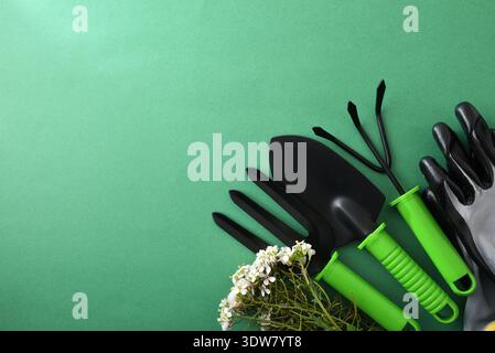 Flache Lage von schwarzen Gartengeräten mit grünen Griffen, Schutzhandschuhen und weißen Blumen auf grünem Hintergrund. Frühjahrsgartenkonzept mit Kopierraum. Stockfoto