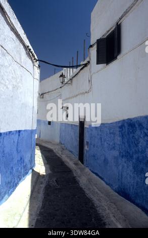 Enge gepflasterte Gasse, die sich zwischen traditionellen blau und weiß getünchten Wohnhäusern in Chefchaouen, Marokko, schlängelt. Stockfoto