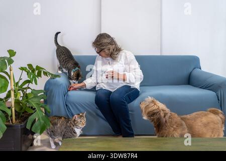 Frau, die auf einem Sofa sitzt und zu Hause mit ihren Katzen und ihrem Hund interagiert Stockfoto