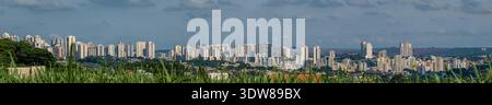Nahaufnahme des grünen Zuckerrohrfeldes mit der Skyline von Ribeirao Preto im Hintergrund. Stockfoto