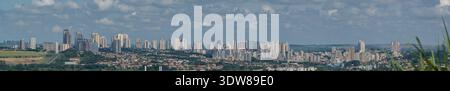 Nahaufnahme des grünen Zuckerrohrfeldes mit der Skyline von Ribeirao Preto im Hintergrund. Stockfoto