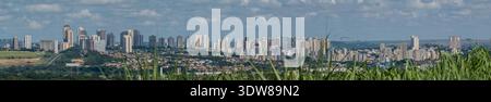 Nahaufnahme des grünen Zuckerrohrfeldes mit der Skyline von Ribeirao Preto im Hintergrund. Stockfoto