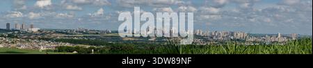 Nahaufnahme des grünen Zuckerrohrfeldes mit der Skyline von Ribeirao Preto im Hintergrund. Stockfoto