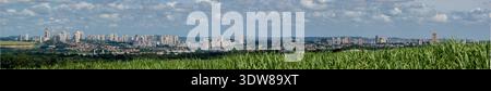 Nahaufnahme des grünen Zuckerrohrfeldes mit der Skyline von Ribeirao Preto im Hintergrund. Stockfoto