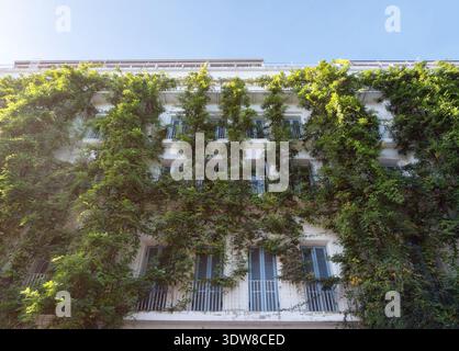 Grüne, mit Efeu bedeckte Apartmentfassade, urbaner Dschungel, nachhaltige Architektur, Öko-Gebäude, biophiles Design, Immobilien außen, klimafreundliches Stadtleben. Stockfoto