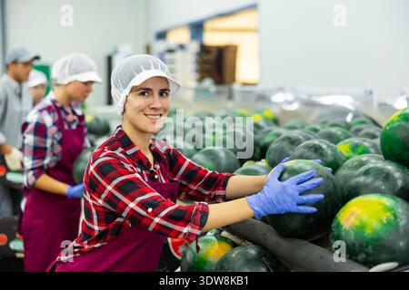 Lächelnde lateinamerikanische Sortiererin, die an der Wassermelonen-Sortierlinie arbeitet Stockfoto