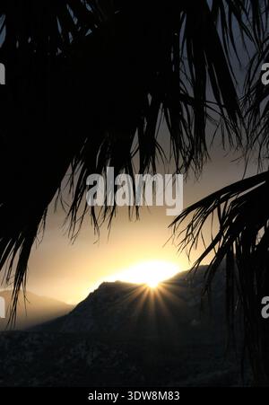 Palmenblatt-Silhouetten mit Sonnenstern über fernen Gebirgszügen Stockfoto