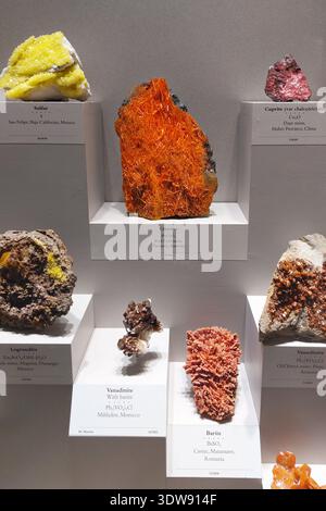 Mineralien im National Museum of Natural History in Washington DC, USA. Stockfoto
