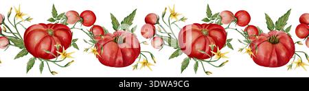 Nahtloser horizontaler Rand mit handbemalten Tomaten und Blüten. Aquarellrot reife Erbstücke mit grünen Blättern bilden sich dekorativ wiederholende, rote Tomaten Stockfoto