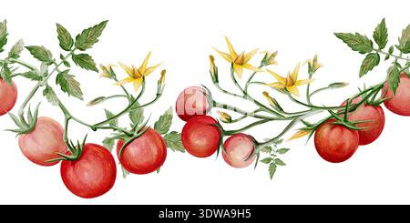 Nahtloser horizontaler Rand von handbemalten Kirschtomaten auf Reben mit Blättern und Blüten. Realistische botanische Verkleidung in Aquarellfarben perfekt für die Küche Stockfoto