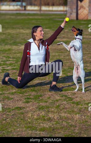 Lächelnde und glückliche Frau in Ausfallposition, die einen Tennisball hält, um mit ihrem Hund zu spielen, der auf seinen Hinterbeinen steht, um ihn in einem Park zu erreichen. Stockfoto