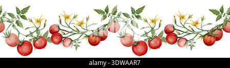 Nahtloser horizontaler Rand von handbemalten Kirschtomaten auf Reben mit Blättern und Blüten. Realistische botanische Verkleidung in Aquarellfarben perfekt für die Küche Stockfoto